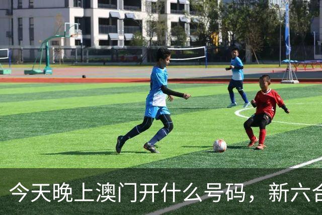 今天晚上澳门开什么号码，新六合彩精准资料推荐，第301期新门澳特码三中三预测，澳门最新内幕特码资料推荐，分享一肖一码精准数据