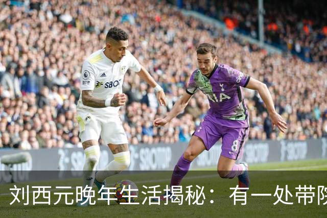 刘西元晚年生活揭秘：有一处带院子的二层小楼，自费三千元修建市场