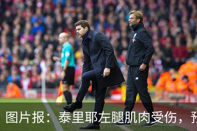 图片报：泰里耶左腿肌肉受伤，预计将缺席至12月
