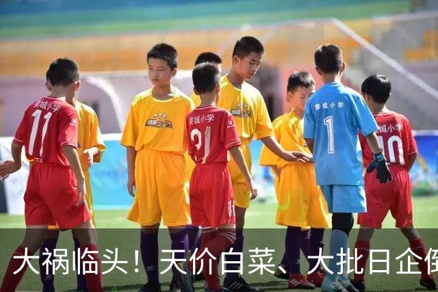 大祸临头！天价白菜、大批日企倒闭，别指望中国兜底，日本崩溃了
