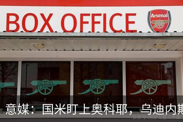 意媒：国米盯上奥科耶，乌迪内斯要价2000万欧