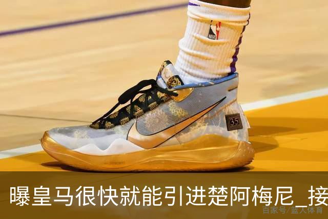 曝皇马很快就能引进楚阿梅尼 接近与摩纳哥达协议