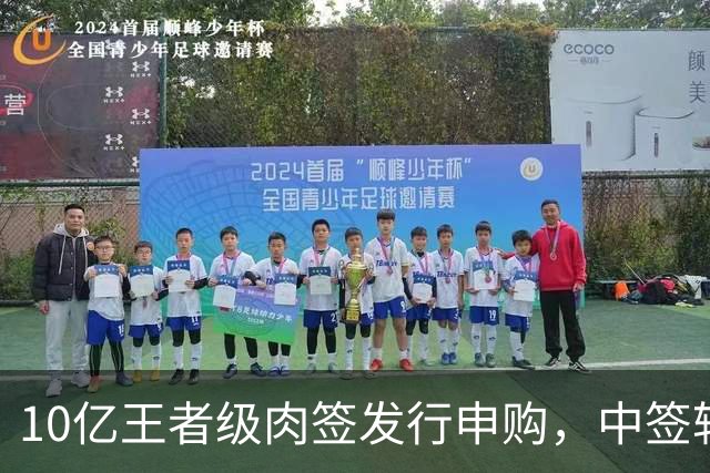 10亿王者级肉签发行申购，中签较容易，股民打新能吃肉！